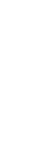ひらめ